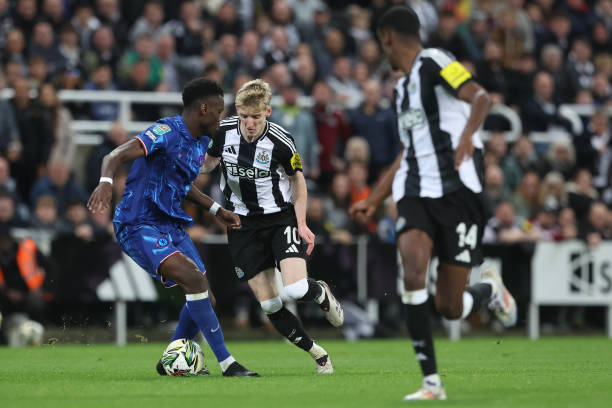 帶來更多的 帶來更多的